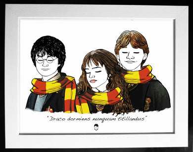 Harry Potter, Hermione y Ron