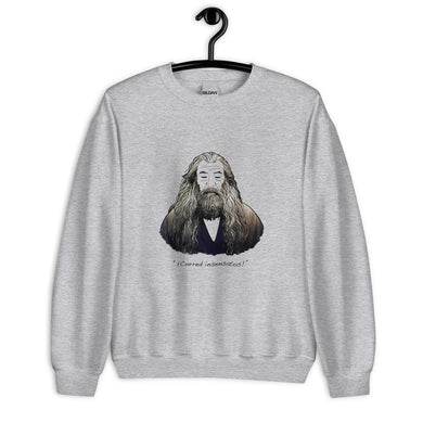 Sudadera Gandalf ; El Señor de los Anillos